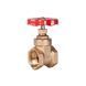 Засувка SD Plus 1" ВР SD25025 фото 1