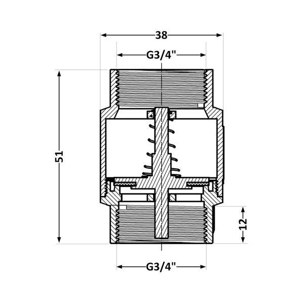 Зворотний клапан Thermo Alliance Standart 3/4"ВВ із латунним штоком TAS240W20 фото
