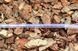 Шланг пвх пищевой Presto-PS Сrystal Tube 4 мм &times; 1 мм бухта 200 м (PVH 4 PS) фото 4