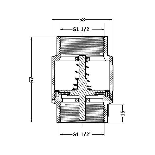 Зворотний клапан Thermo Alliance Standart 1 1/2"ВВ із латунним штоком TAS240W40 фото