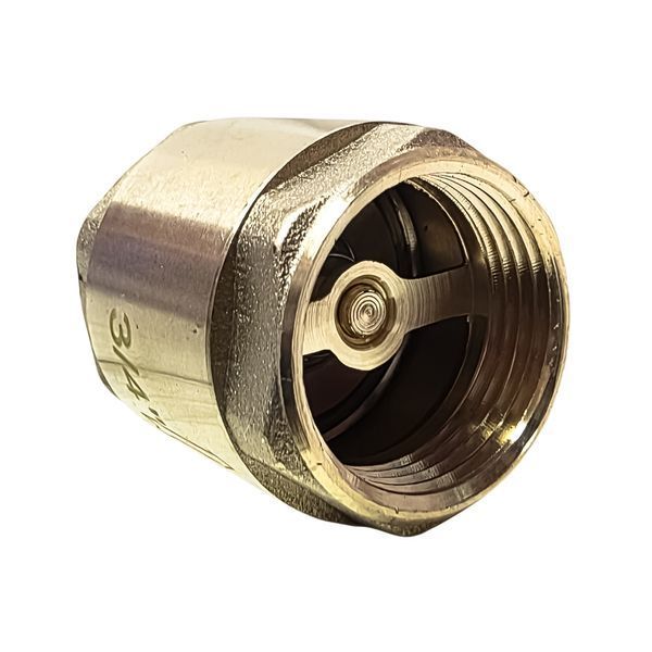 Обратный клапан 3/4" с латунным штоком Eco фото