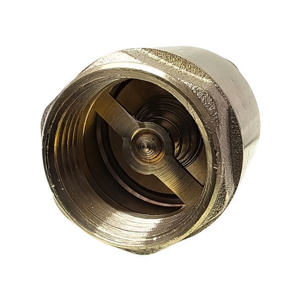 Обратный клапан 3/4" с латунным штоком Eco фото