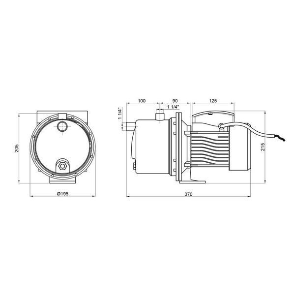 Насос самовсасывающий центробежный Thermo Alliance D-JDTm-125 0,92 кВт фото