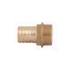 Штуцер для шлангу 1/2"З х 8 мм латунний Thermo Alliance SD427158 фото 4