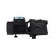 Насос поверхностный самовсасывающий Pumpman TJSW/15M-1 Нmax 50 м Qmax 4,5 куб.м 1100 Вт (чугун) фото 2