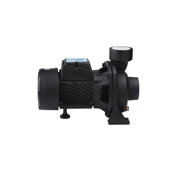 Насос поверхневий поливальний Pumpman TGA1C Нmax 15 м Qmax 30 куб.м 2"х2" 750 Вт фото