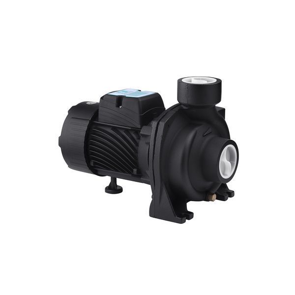 Насос поверхневий поливальний Pumpman TGA1C Нmax 15 м Qmax 30 куб.м 2"х2" 750 Вт фото