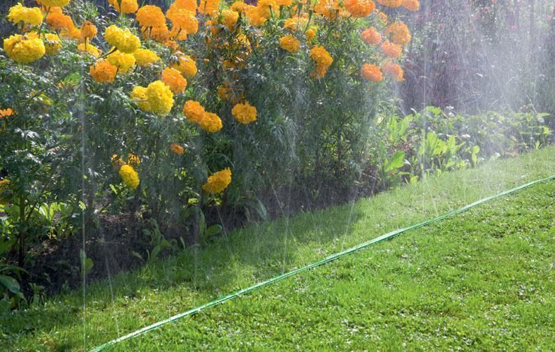 Шланг спринклерний 3-х канальний 15м Bradas Spritz Hose, WSH15 фото