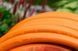 Шланг садовий Tecnotubi Orange Professional для поливу діаметр 3/4 дюйма, довжина 15 м (OR 3/4 15) фото 4